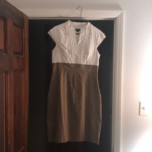 New Direction never worn dress. Brown and white in color